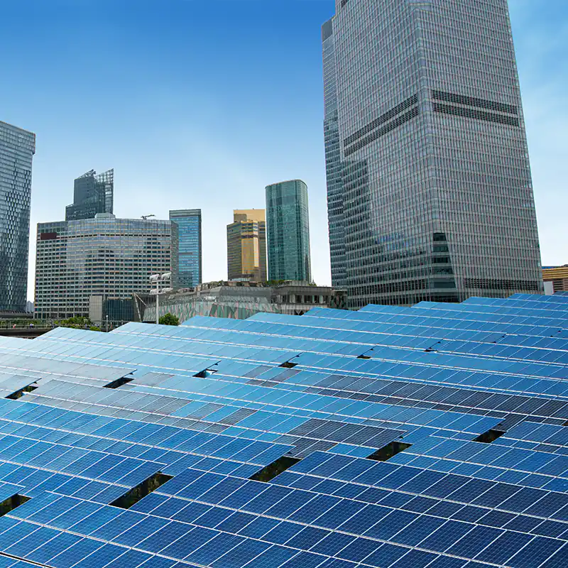 Sustainable Building Advisory